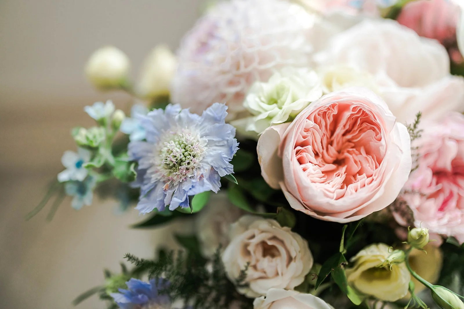 Spring hill flowers deals